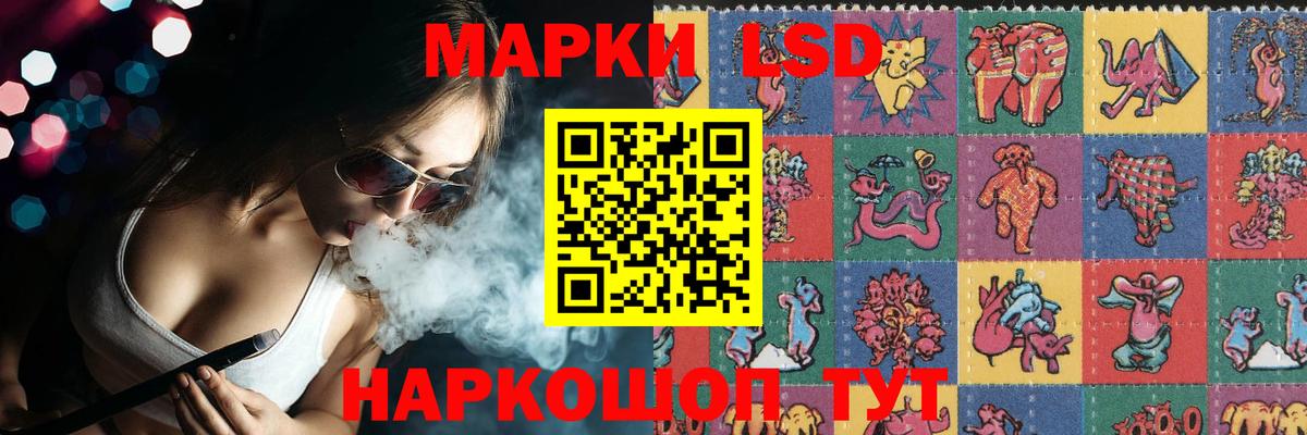 МЕФ Полевской