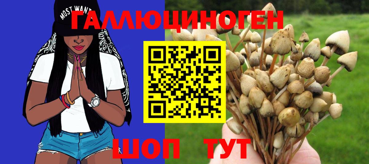 Галлюциногенные грибы мицелий Полевской